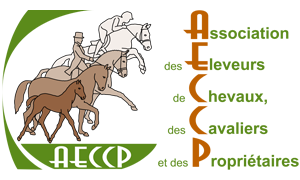 AECCP