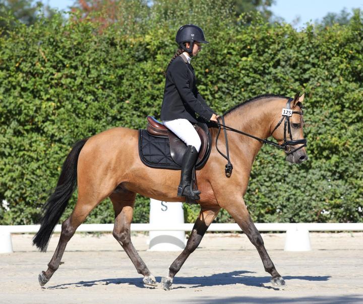 Photo de Endless Joy de Castel
