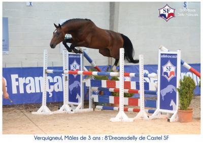 Photo de Dreamsdelly de Castel