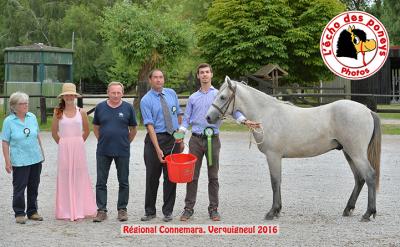 Photo de Figaro du Connétable