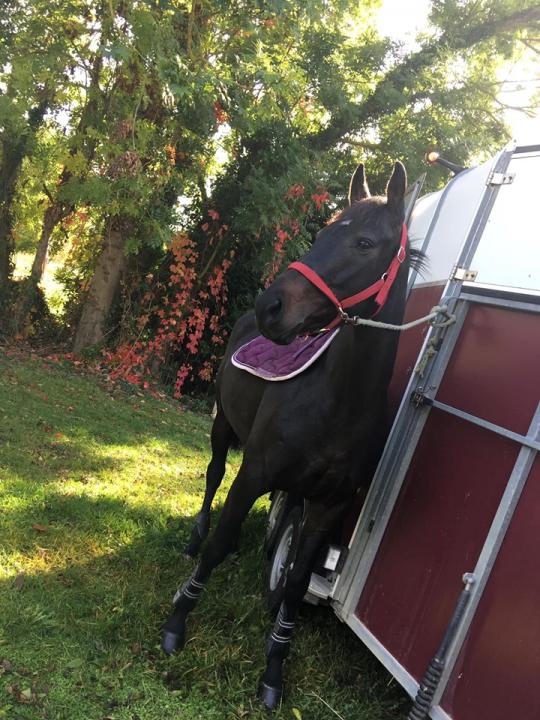 Photo de Etoile Verite
