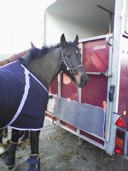 Photo de Etoile Verite