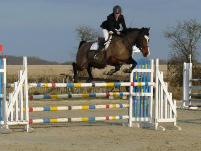 Photo de Litchie de Bernot