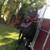 Photo de Etoile Verite
