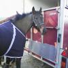 Photo de Etoile Verite
