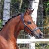 Photo de Kerya Star de Castel