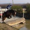 Photo de Litchie de Bernot