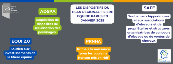 Infos suite à l'AG du 19 janvier 2025 - Plan Cheval