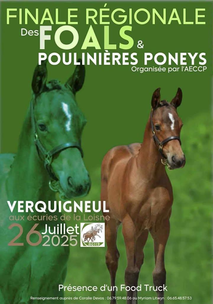 Concours Régional des Poneys le samedi 26 juillet 2025 à Verquigneul
