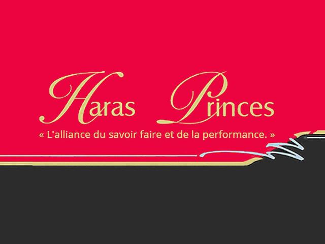 Haras Des Princes