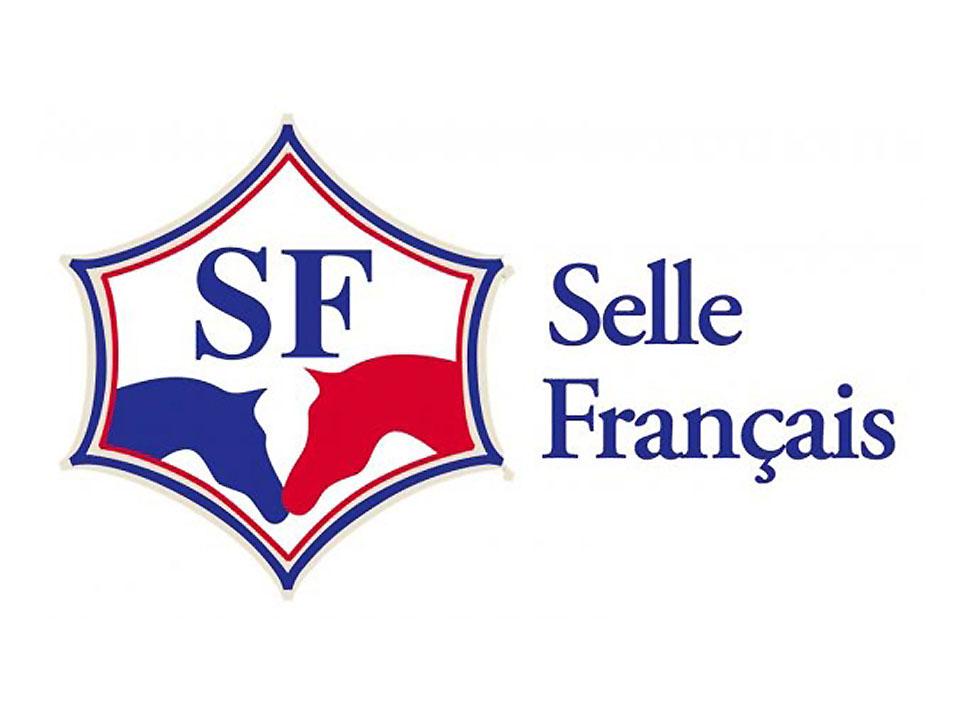 STUD-BOOK selle français